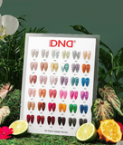 DND 9D Cat Eye Velvet Jungle- All 36 Color Collection